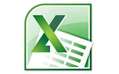 MS: Excel 2010